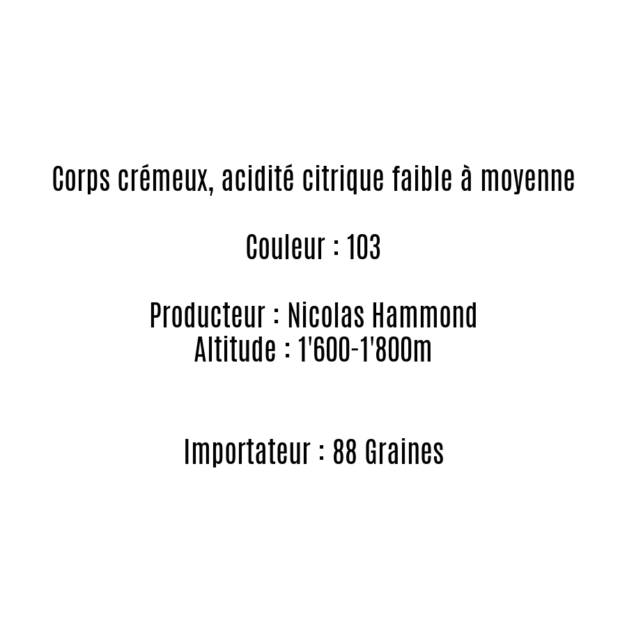 CHIMALTENANGO - Guatemala - Espresso