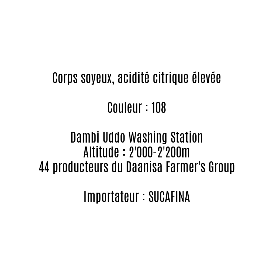 DAANISA - Ethiopie - Filtre