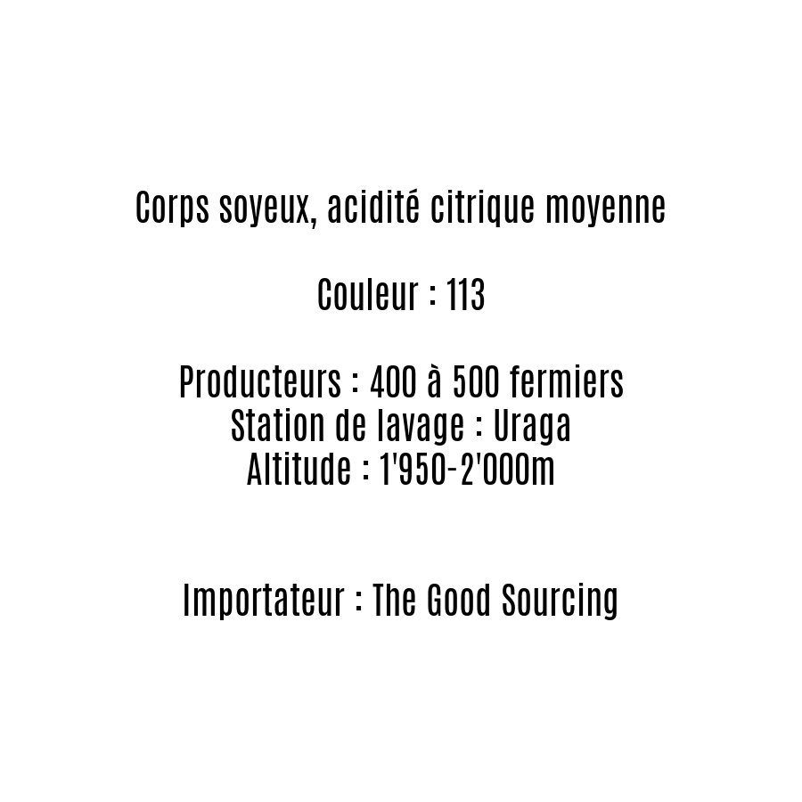 GOGOGU - Ethiopie - Espresso