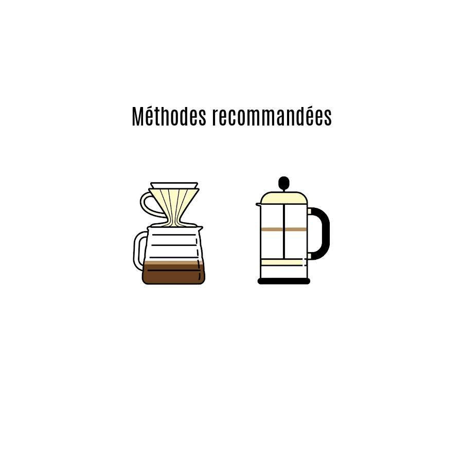 GALLARDITO - Colombie - Filtre