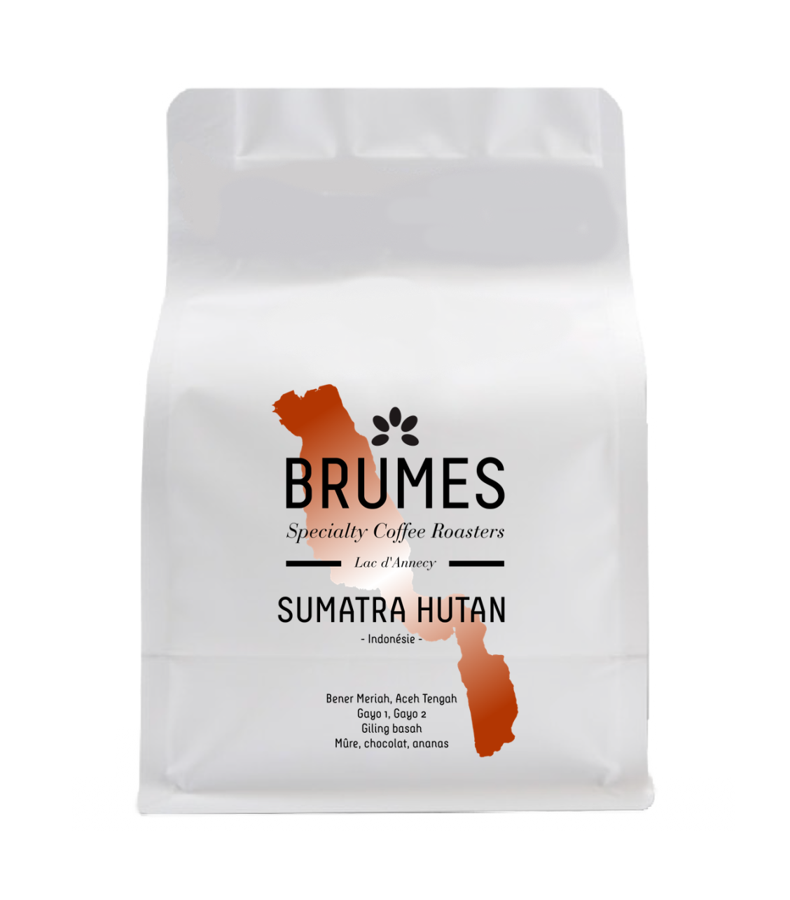 SUMATRA HUTAN - Indonésie - Espresso