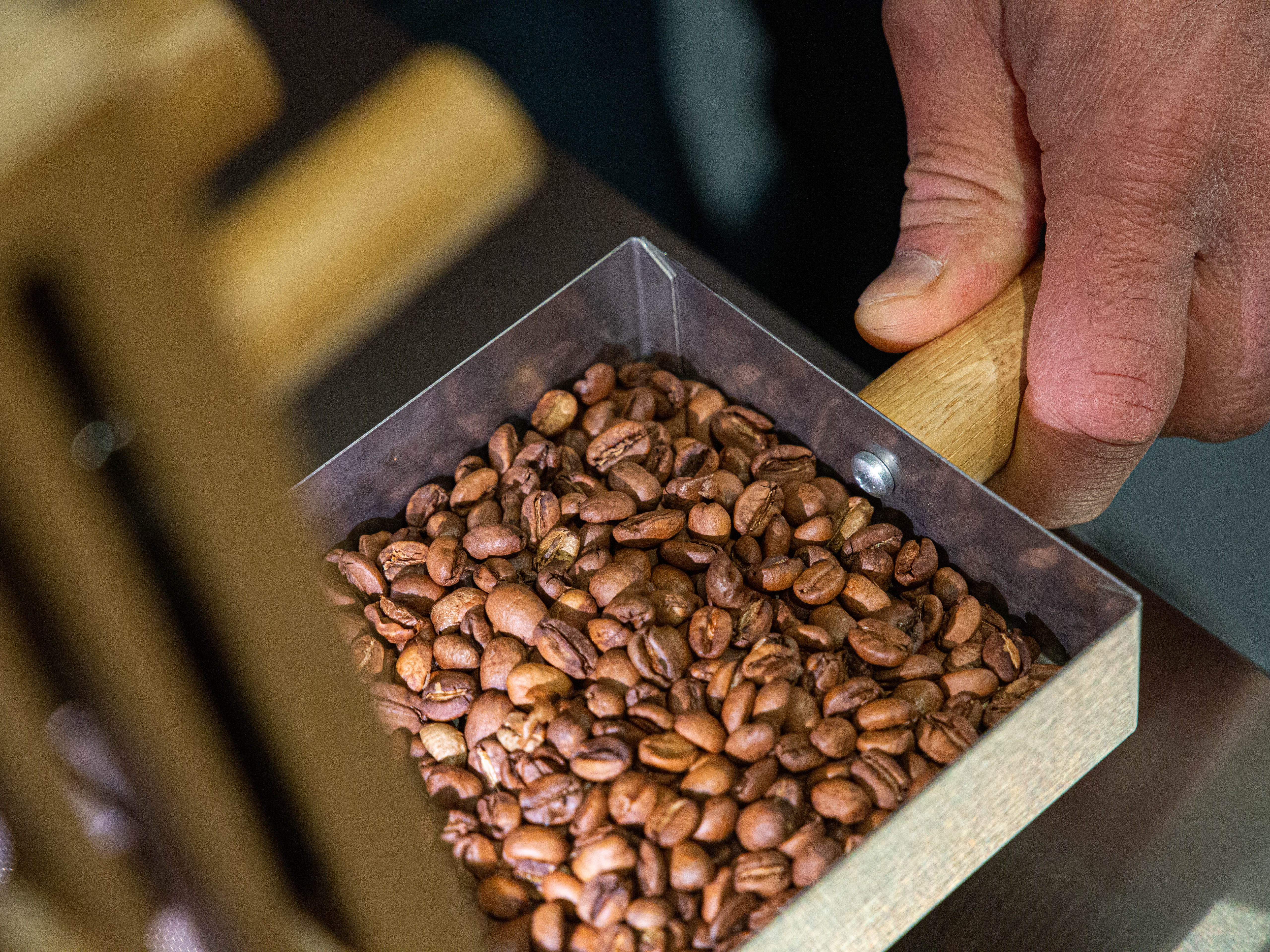 Atelier découverte de la torréfaction