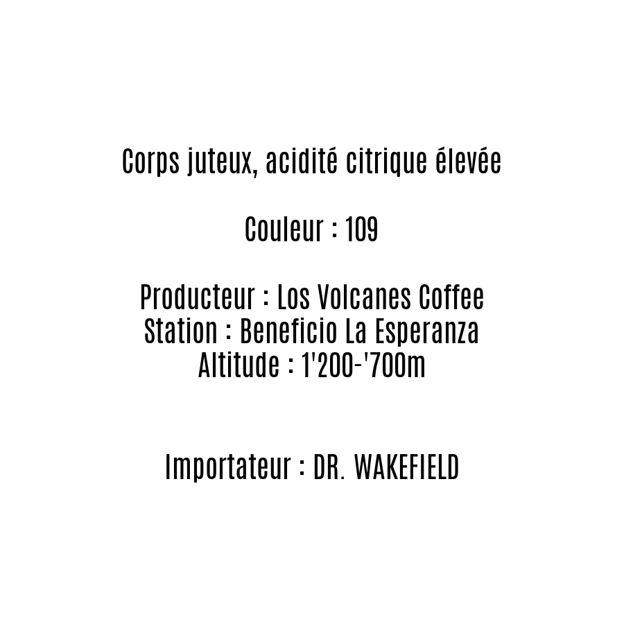 SANTA ELISA - Guatemala - Filtre