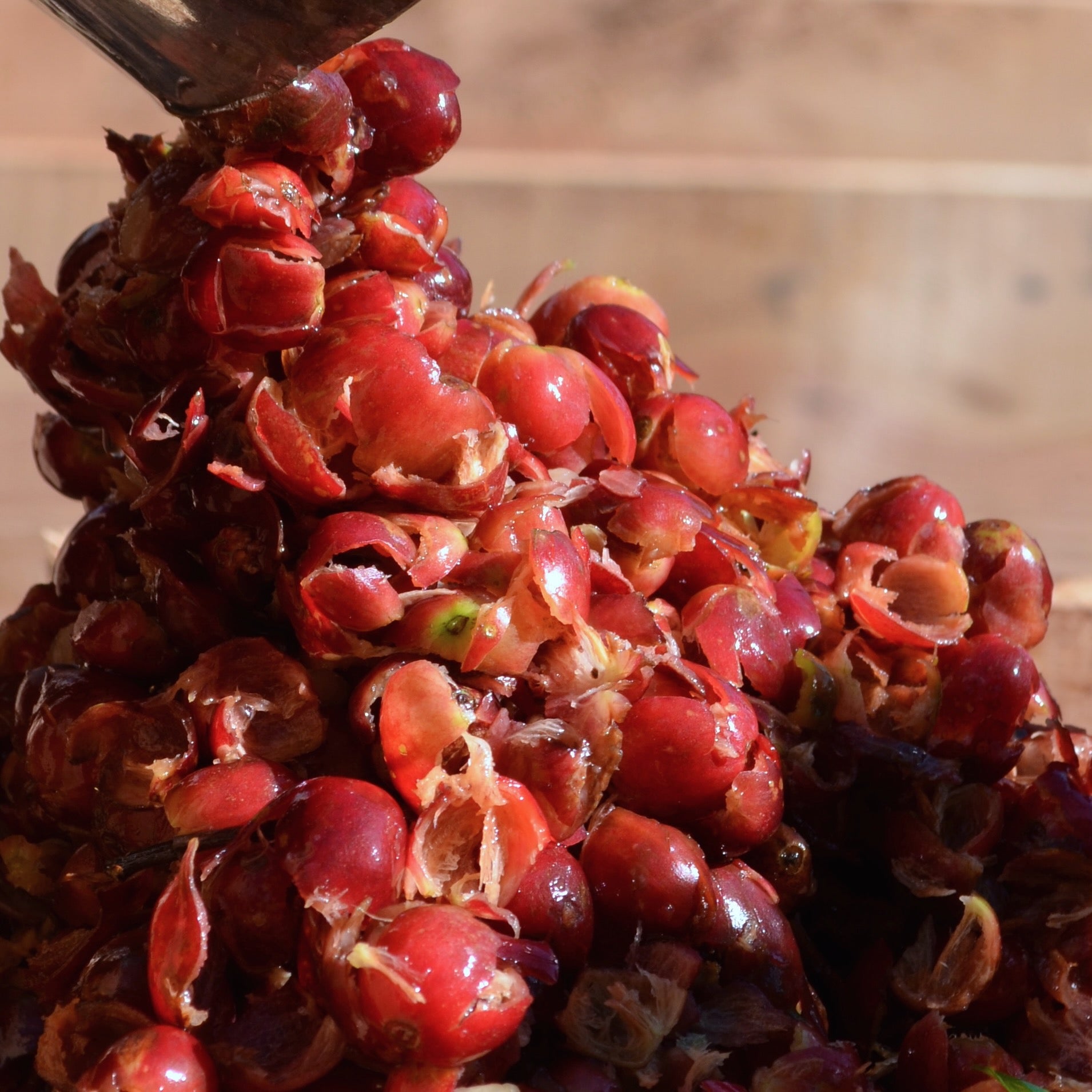 CASCARA - 200g